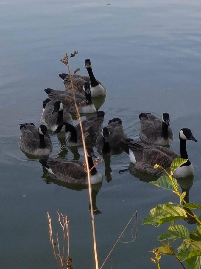 Elton Barn Fishery & Retreat Nottingham Dış mekan fotoğraf
