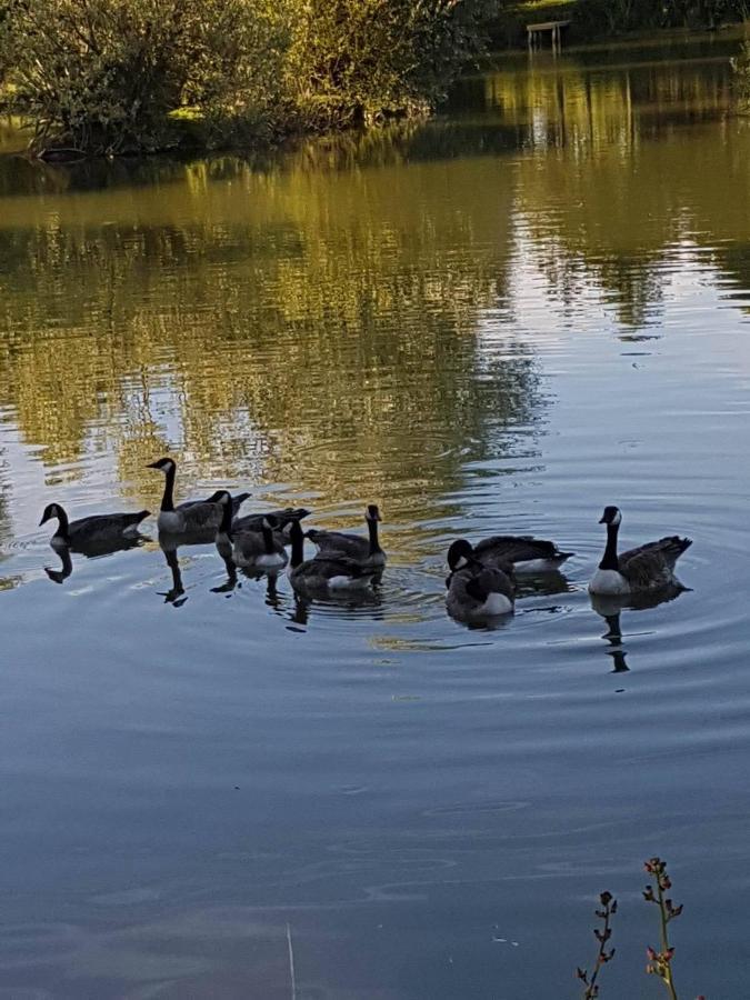 Elton Barn Fishery & Retreat Nottingham Dış mekan fotoğraf